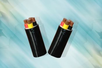 CVV ­− 0,6/1 KV CÁP ĐIỆN LỰC, RUỘT ĐỒNG, CÁCH ĐIỆN PVC, VỎ PVC